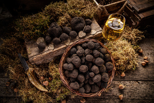 The Truffle’s Treasure: Health Benefits of Truffles | Nutritional value, antioxidants, and anti-inflammatory properties