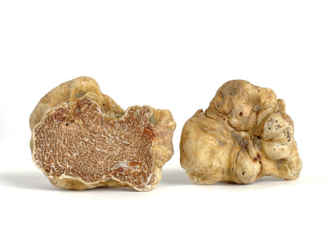 Alba White Truffles