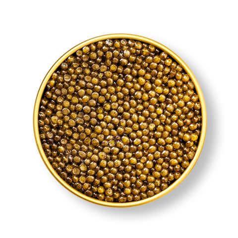 Caviar Centre Imperial Osetra caviar (Acipenser gueldenstaedtii) with refined nutty pearls