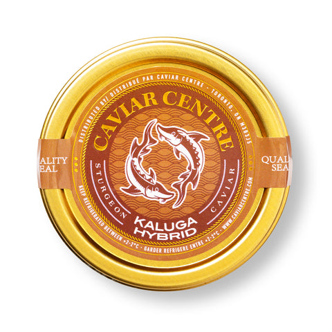 Kaluga Hybrid caviar with large silky pearls, creamy buttery flavour, premium luxury sturgeon caviar.
