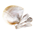 Mother-of-Pearl Caviar Service Set caviar-centre
