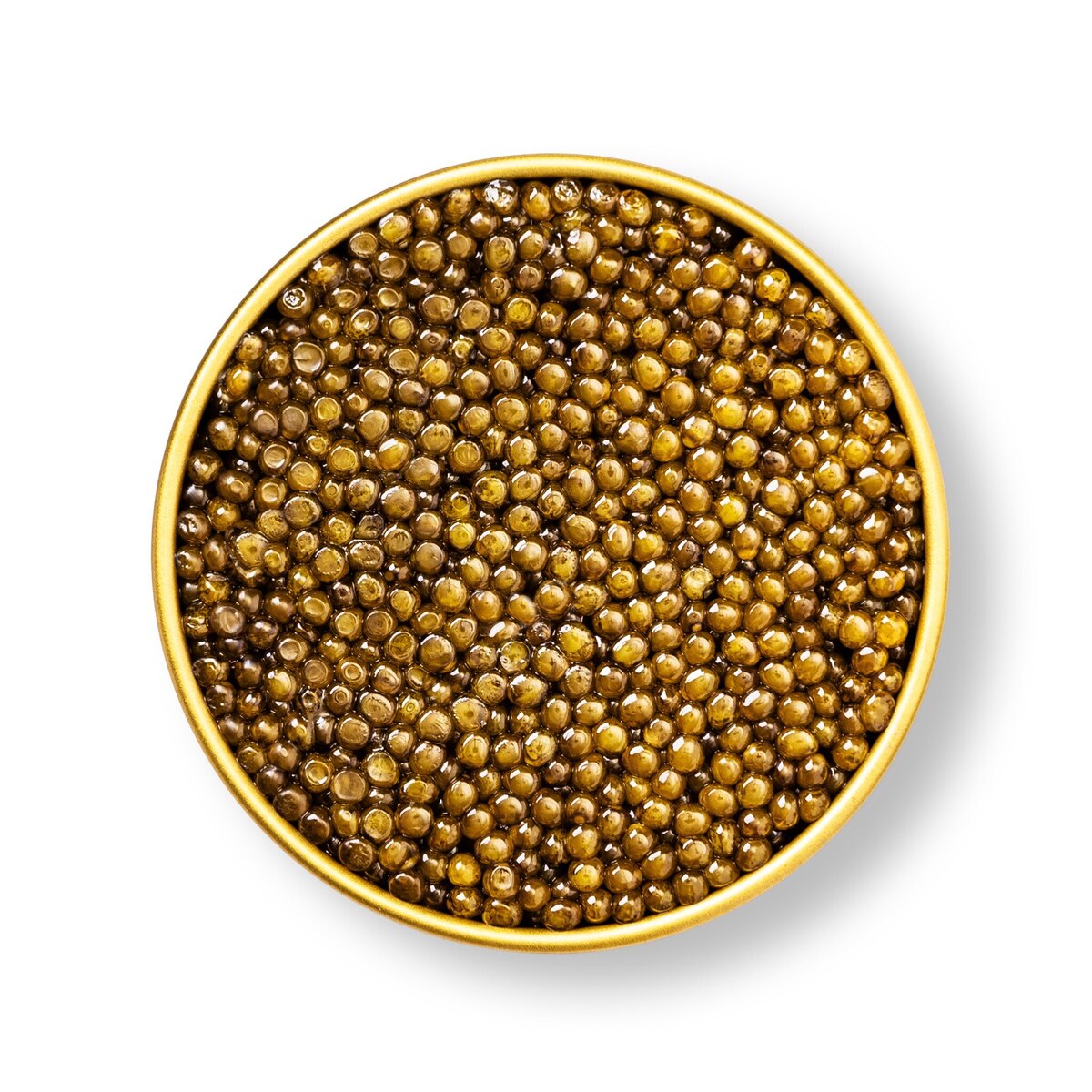 Imperial Osetra caviar with large golden-yellow to silvery olive-green pearls
