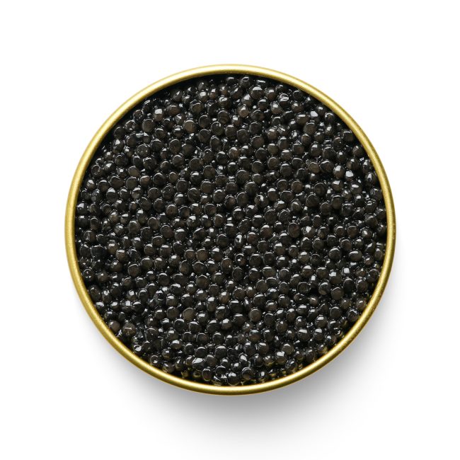 Kaluga Amur Caviar