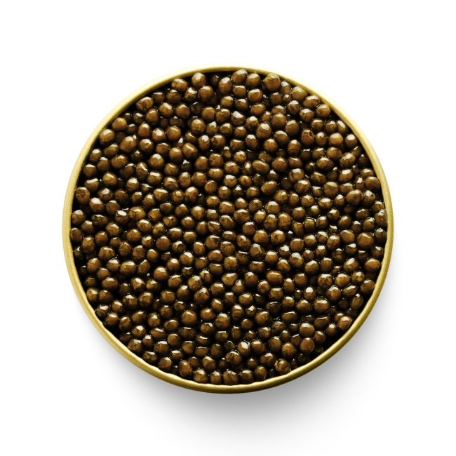 Russian Osetra Sturgeon Caviar