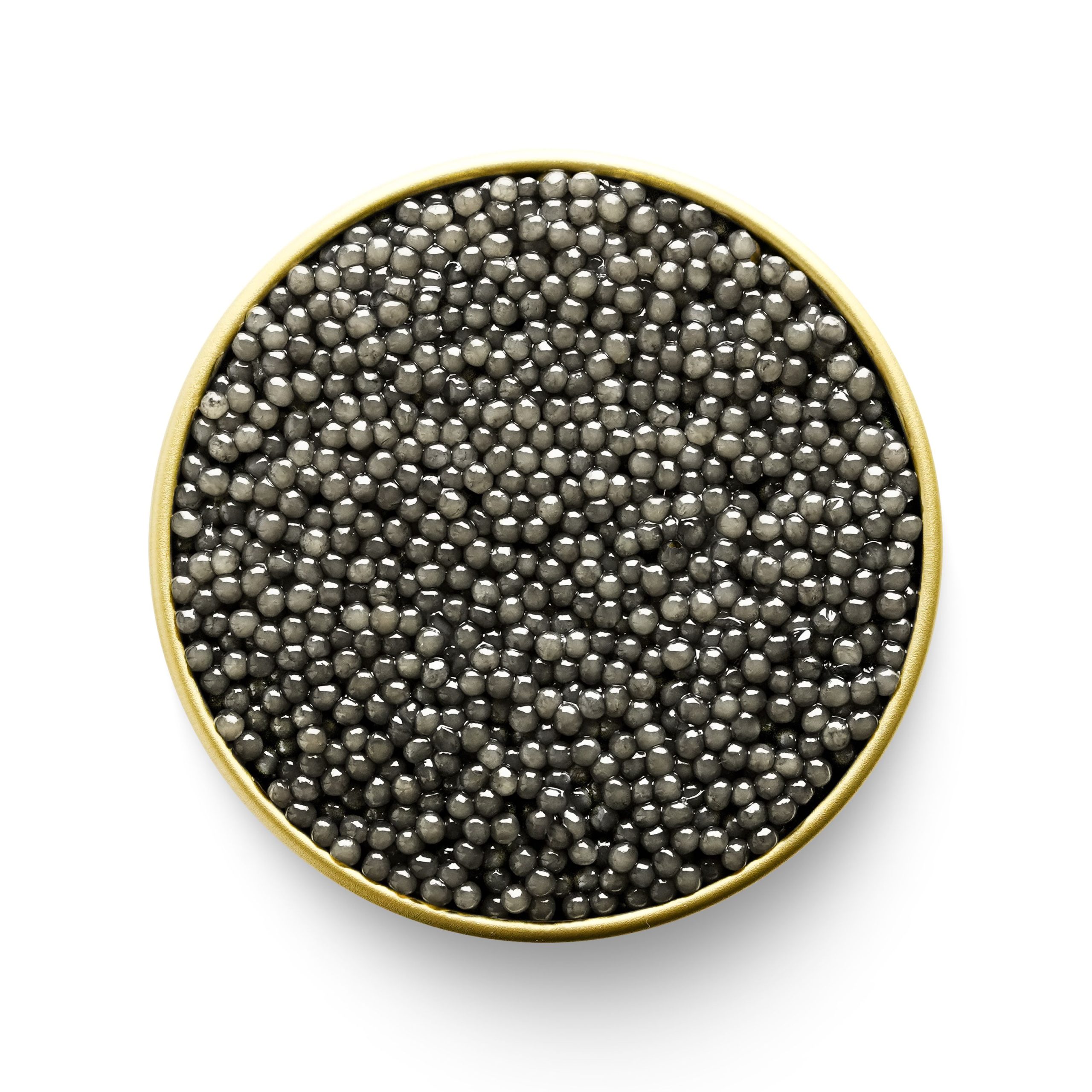 Sevruga Sturgeon Caviar