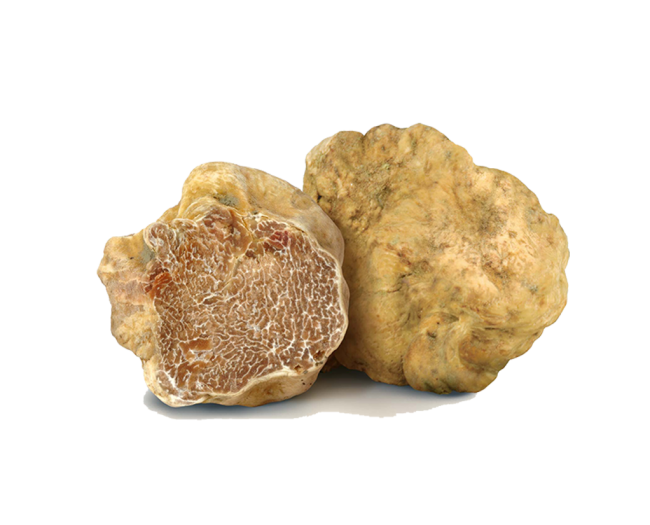 White Alba Truffles from Italy