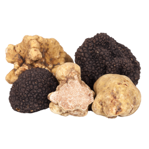 Fresh Truffles