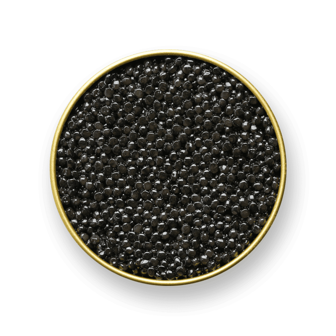 Beluga Caviar 2nd Grade