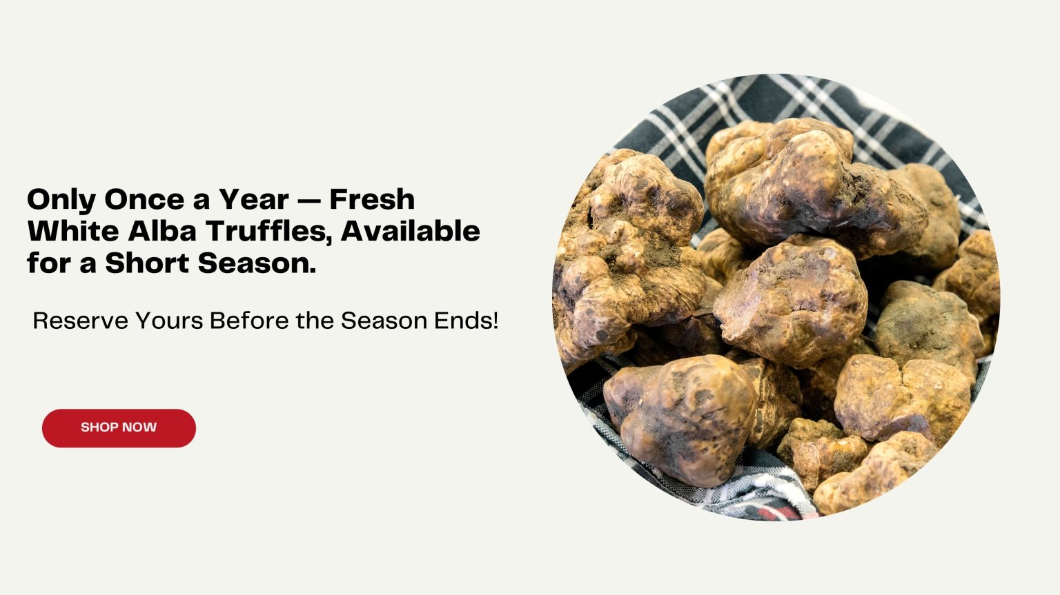 Fresh White Alba Truffles and premium caviar from Caviar Centre, a trusted luxury gourmet supplier in Toronto